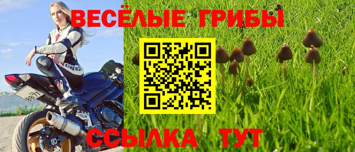 Стрежевой  дарнет шоп  Вход с VPN  Галлюциногенные грибы Psilocybine cubensis 
