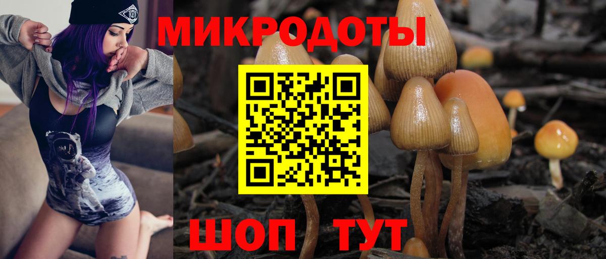 Псилоцибиновые грибы мухоморы Стрежевой